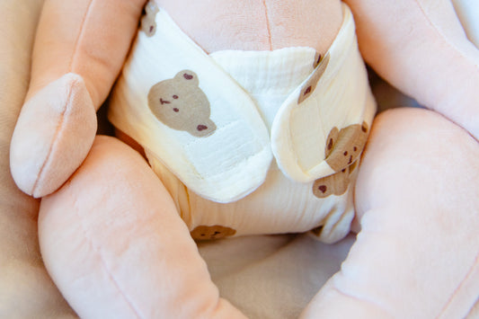 Teddy Bear Cloth Diaper